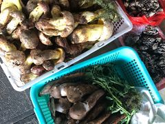 -双喜农庄·菌香园(安居家园店)