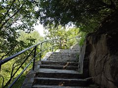 -香山公园