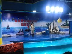 -重庆欢乐海底世界