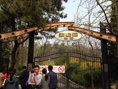 iphone_upload_pic-青岛动物园