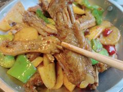 -百岁鱼(望月路店)