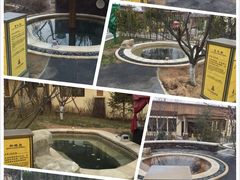 -大连金石滩绿发温泉假日酒店