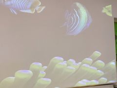 -洪氏嗨捞·猪肚鸡火锅(阳光天地店)