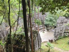 -梭布垭石林景区