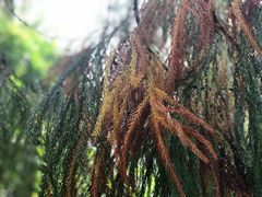 -雁荡山灵峰景区