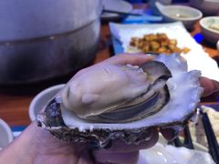 -千岛蚝高压锅生蚝·人参火锅(白云万达店)