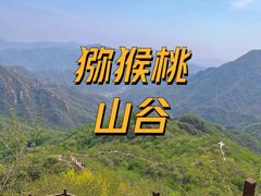 -大岭沟猕猴桃谷风景区