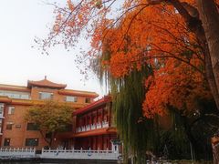 -新川办餐厅