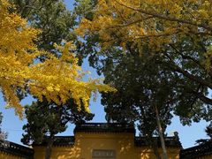 -灵岩山风景区