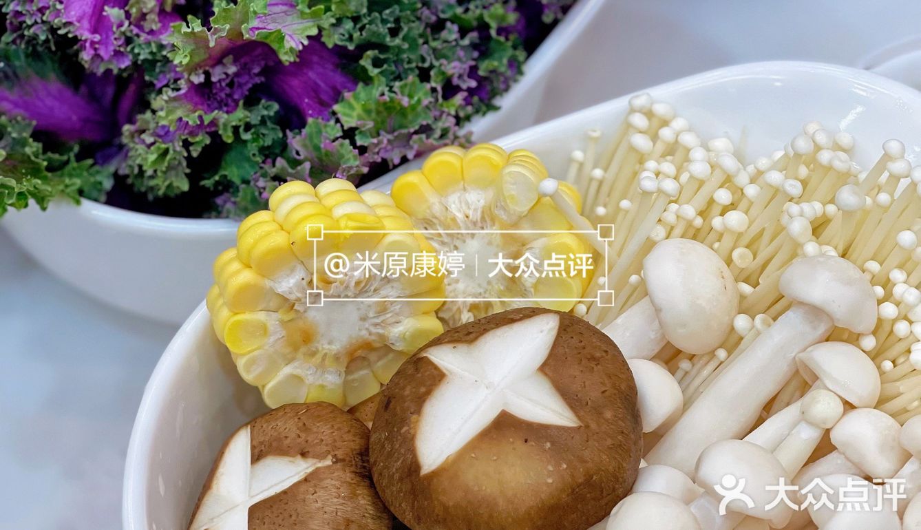 东莞美食｜冬日暖心滋补佛跳墙火锅