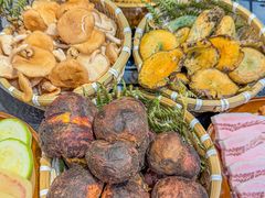 -阿山卓·野生菌火锅·纳西火塘烤肉