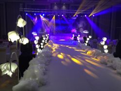 -M'S BANQUET AND SPACE ART
