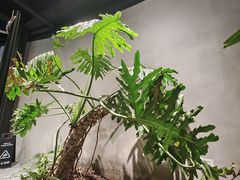 -J Create城市露营咖啡·简餐·宠物(上海动物园店)