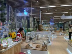 -小象动悟公园(龙湖亦庄天街店)