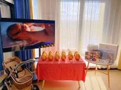 -佳贝艾月子中心(国贸店)