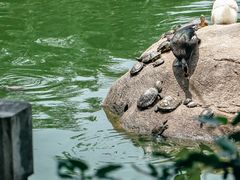 -梵天禅寺