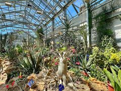 -国家植物园南园