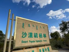 -亿利库布其七星湖沙漠生态旅游区