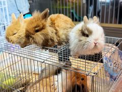 -济南高新万达广场