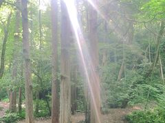 -西湖风景区十里琅珰-五云山