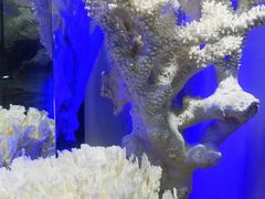 -游龙石文化科普馆