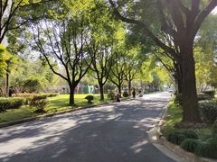 -上海市实验学校