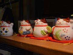 -猫咪博物馆(顶澳仔猫街店)