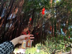 -莆田湄洲妈祖祖庙