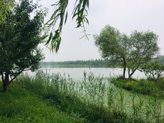 -东郊湿地公园