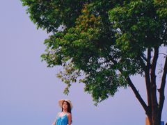 -空港花田景区