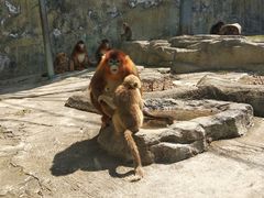 -大连森林动物园