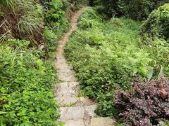 -铁山坪森林公园