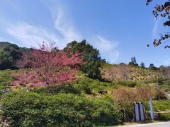 -广州市石门国家森林公园