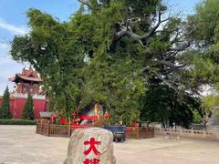 -大槐树寻根祭祖园