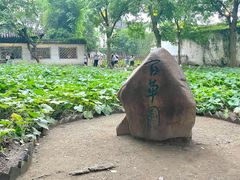 -绍兴鲁迅故里·沈园景区