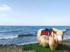 -青海湖国家重点风景名胜区
