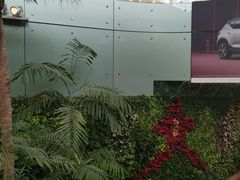 -贾特拉帕蒂·希瓦吉国际机场