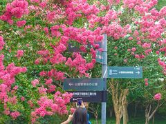 -杭州城北体育公园