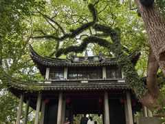 -蒋氏故居