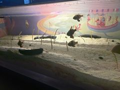 -欢乐海岸海洋奇梦馆