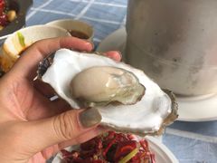 -东极岛海鲜