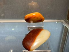 -中福古玩城(浙江中路店)