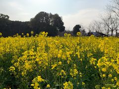 -明蜀王陵(地铁站)