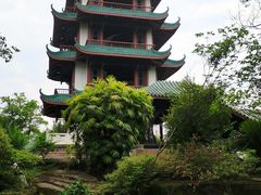 -桂湖森林公园