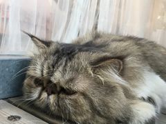 -恋物百货商店(华侨城店)