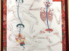 -成都中医药大学(温江校区)