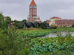 -日照海滨国家森林公园