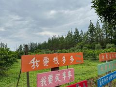 -前小桔亲子创意农场·草莓采摘·露营烧烤