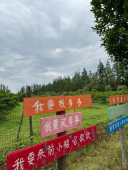 -前小桔亲子创意农场·草莓采摘·露营烧烤