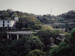 -福道